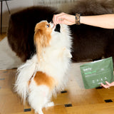 the big chill - superfood snacks for dogs