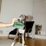 the big chill - superfood snacks for dogs