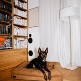 the cozy bed teddy