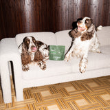 the big chill - superfood snacks for dogs