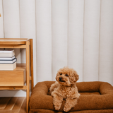 the cozy bed teddy