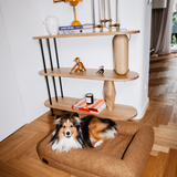 the cozy bed teddy
