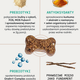 be balanced wsparcie mikrobioty
 i zdrowia jelit