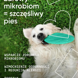 be balanced wsparcie mikrobioty
 i zdrowia jelit