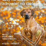 be light wsparcie prawidłowego trawienia