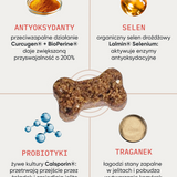 be protected wsparcie odporności