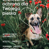 be protected wsparcie odporności