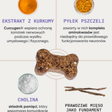 be smart wsparcie pamięci i koncentracji