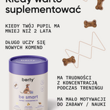 be smart wsparcie pamięci i koncentracji