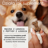 be smart wsparcie pamięci i koncentracji