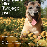 be vital wsparcie zdrowia i witalności