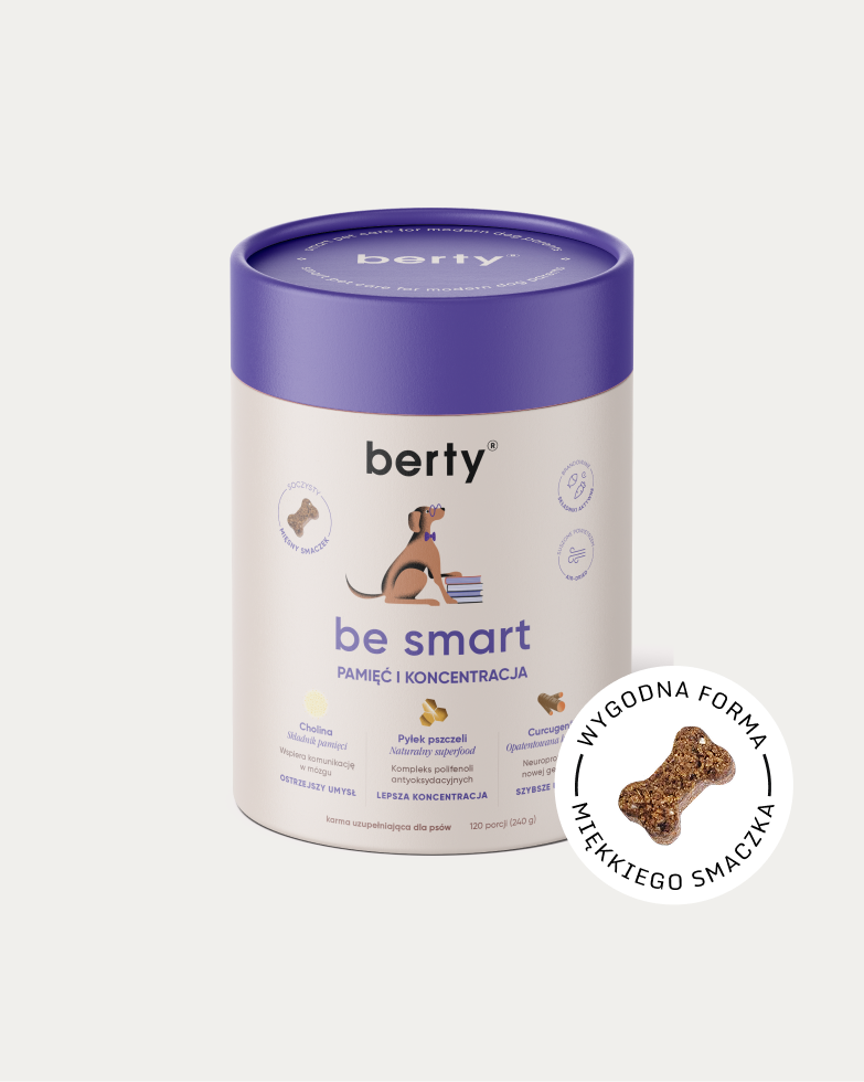 be smart wsparcie pamięci i koncentracji