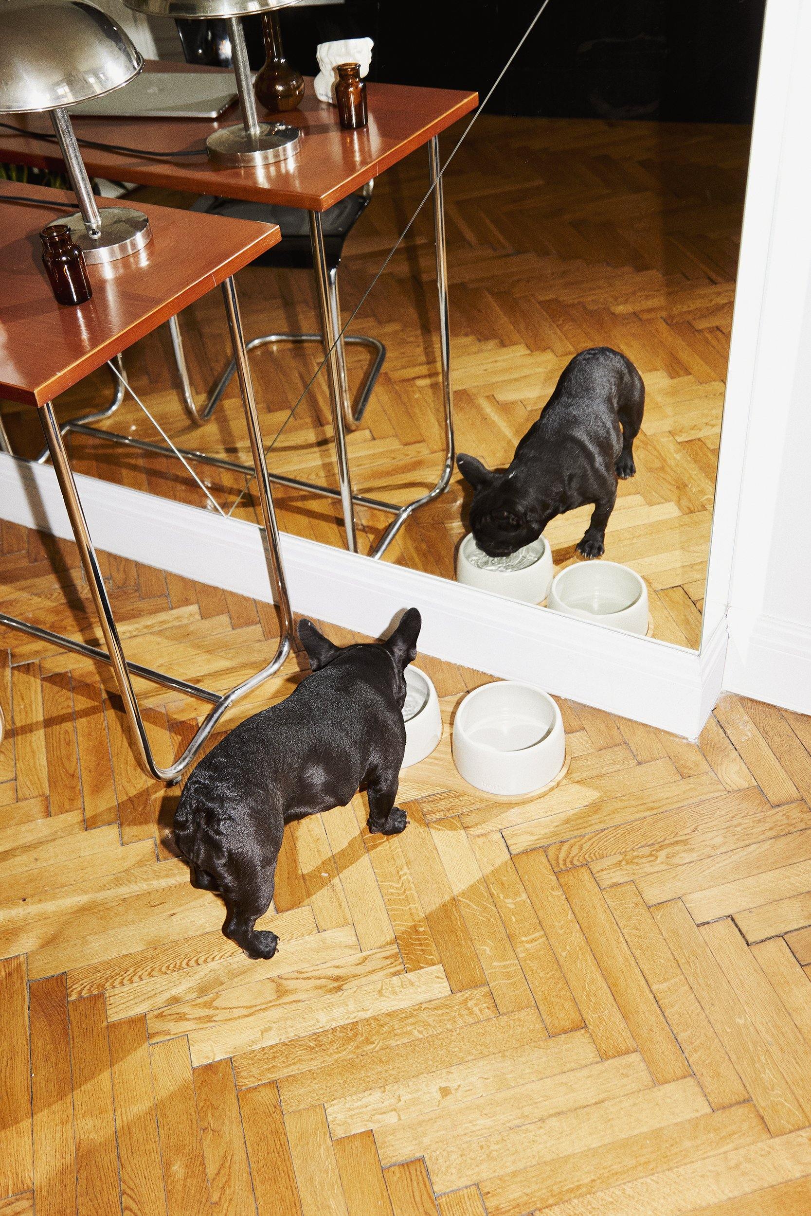 the dining set - bowls & tray set | oyster - berty