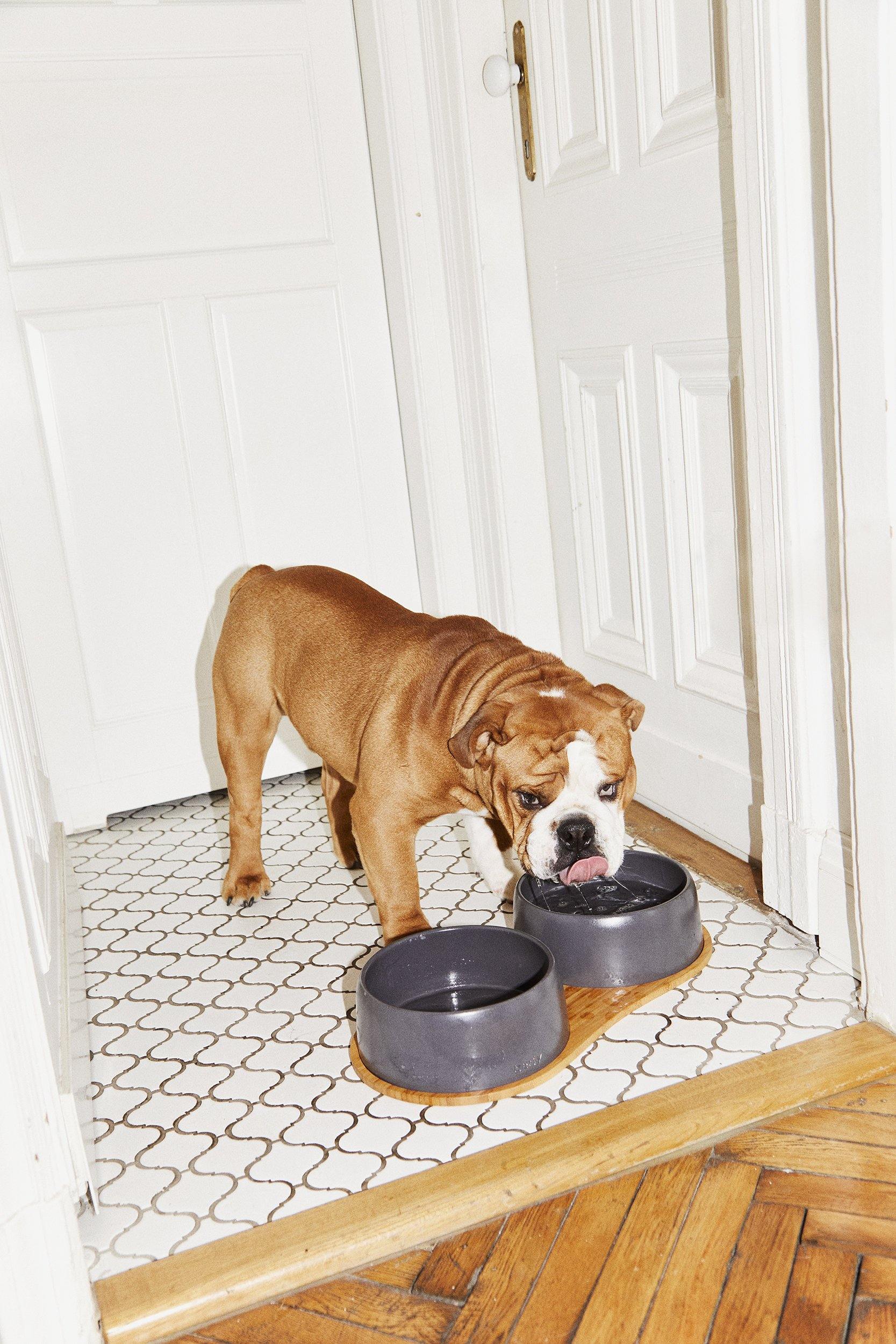 the dining set - bowls & tray set | dark stone - berty