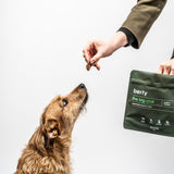 the big chill - superfood snacks for dogs
