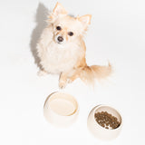 the mini ceramic bowl for dogs | butter biscuits