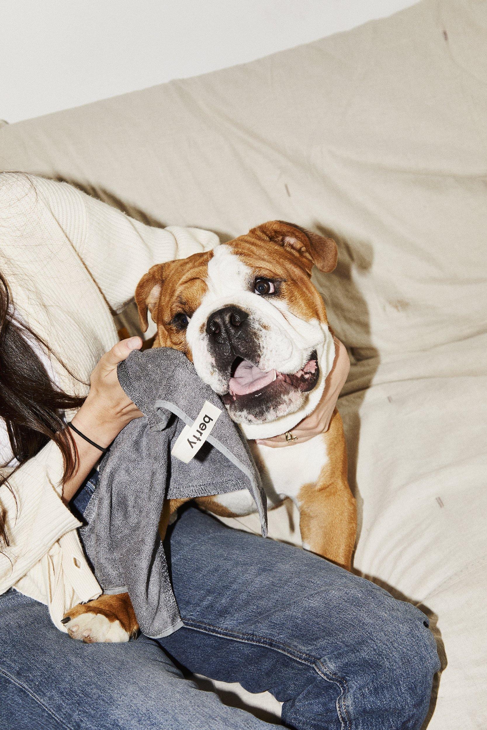 Pet Parents - are you one of them? - berty