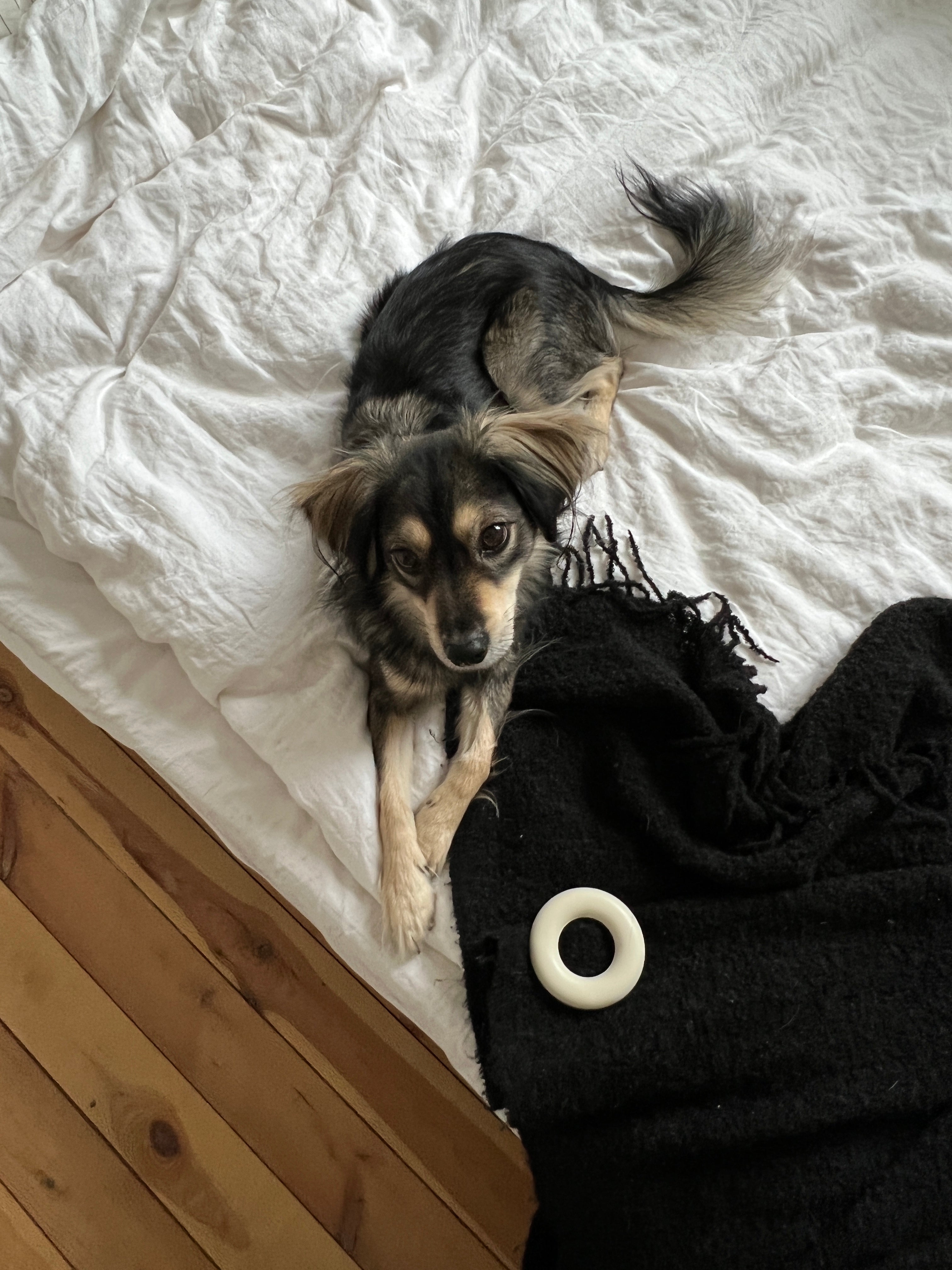 PET PARENTS by berty: Agnieszka Jelonek & Lenny