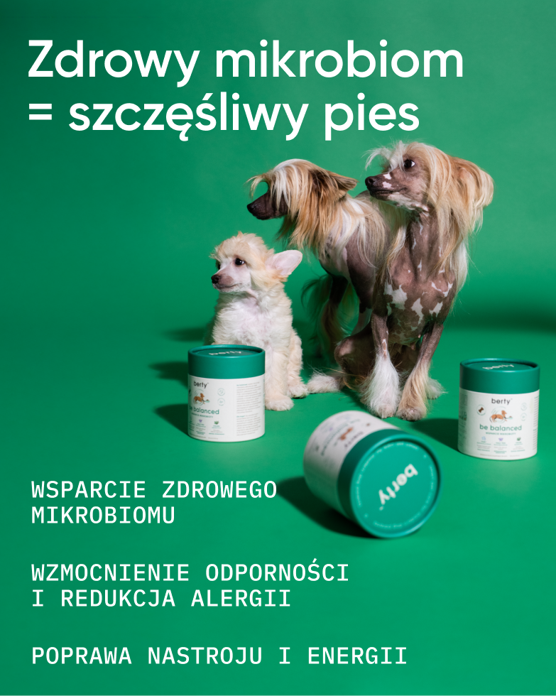 Trawienie i zdrowe jelita
