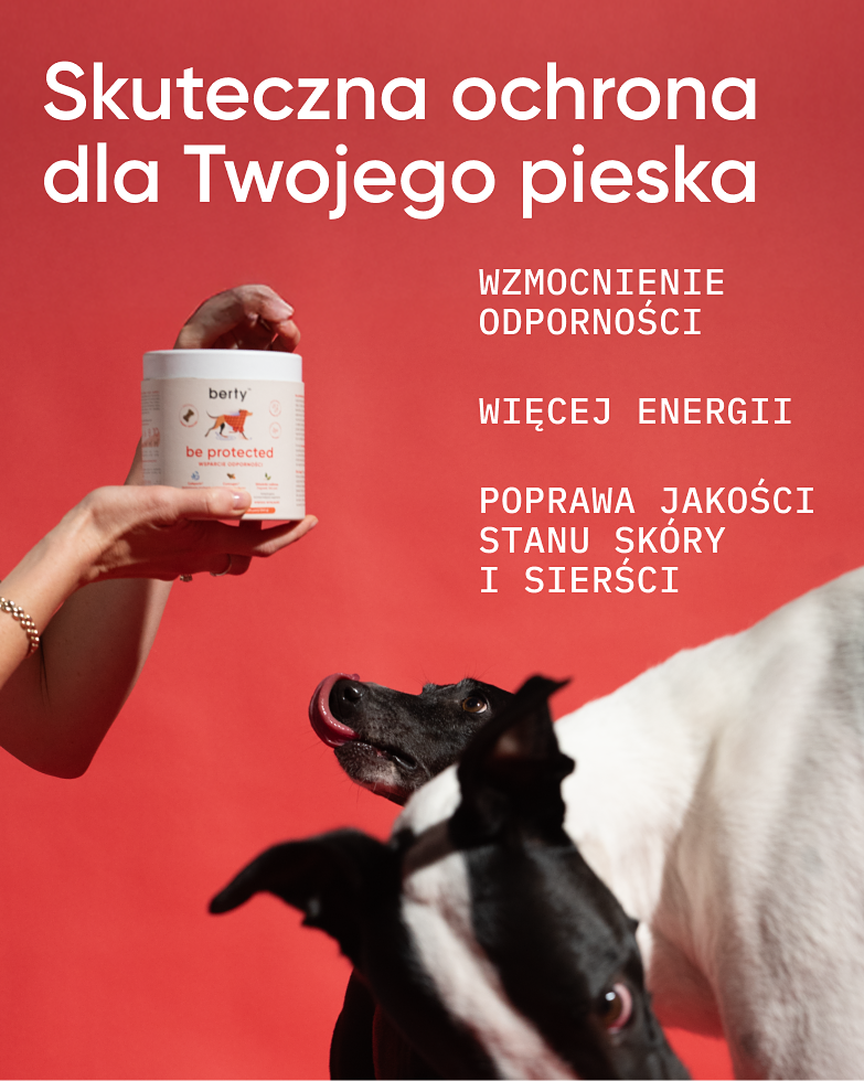 Twój pies zasługuje na tarczę ochronną przez cały rok. Odkryj suplementy berty, które wzmacniają odporność od środka – bez kompromisów.