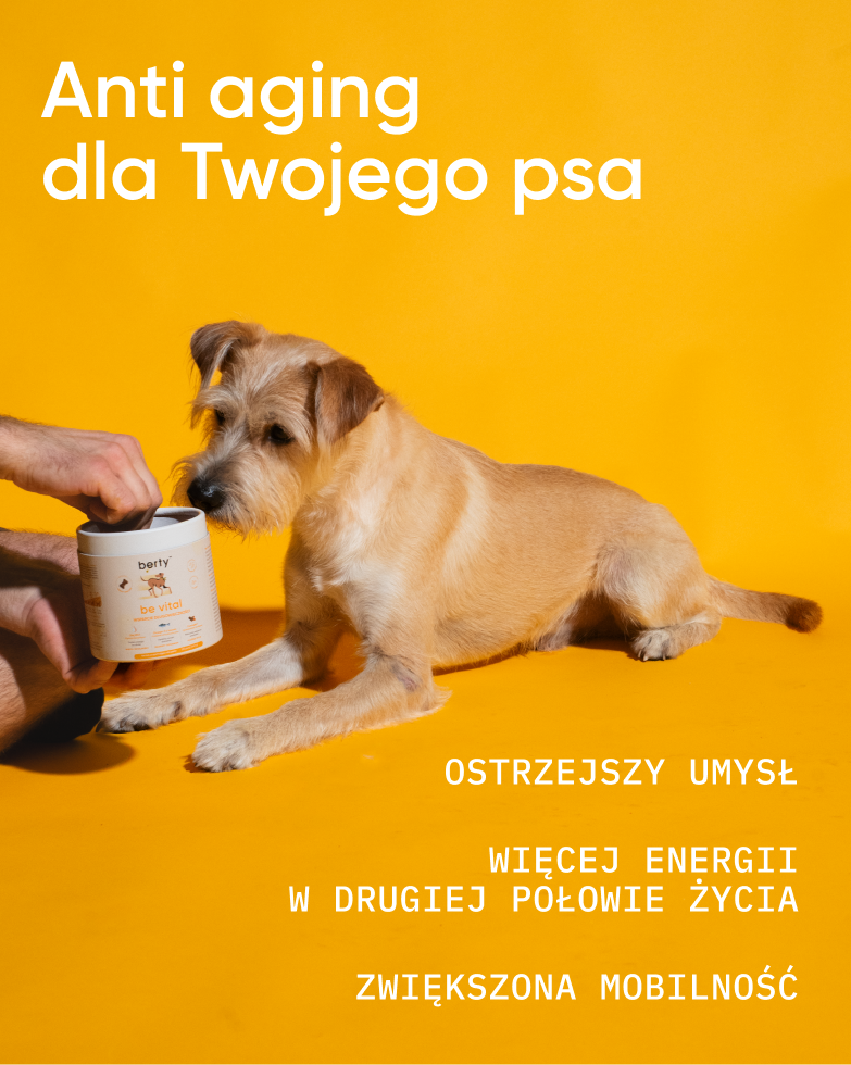 Wsparcie seniora i witalność