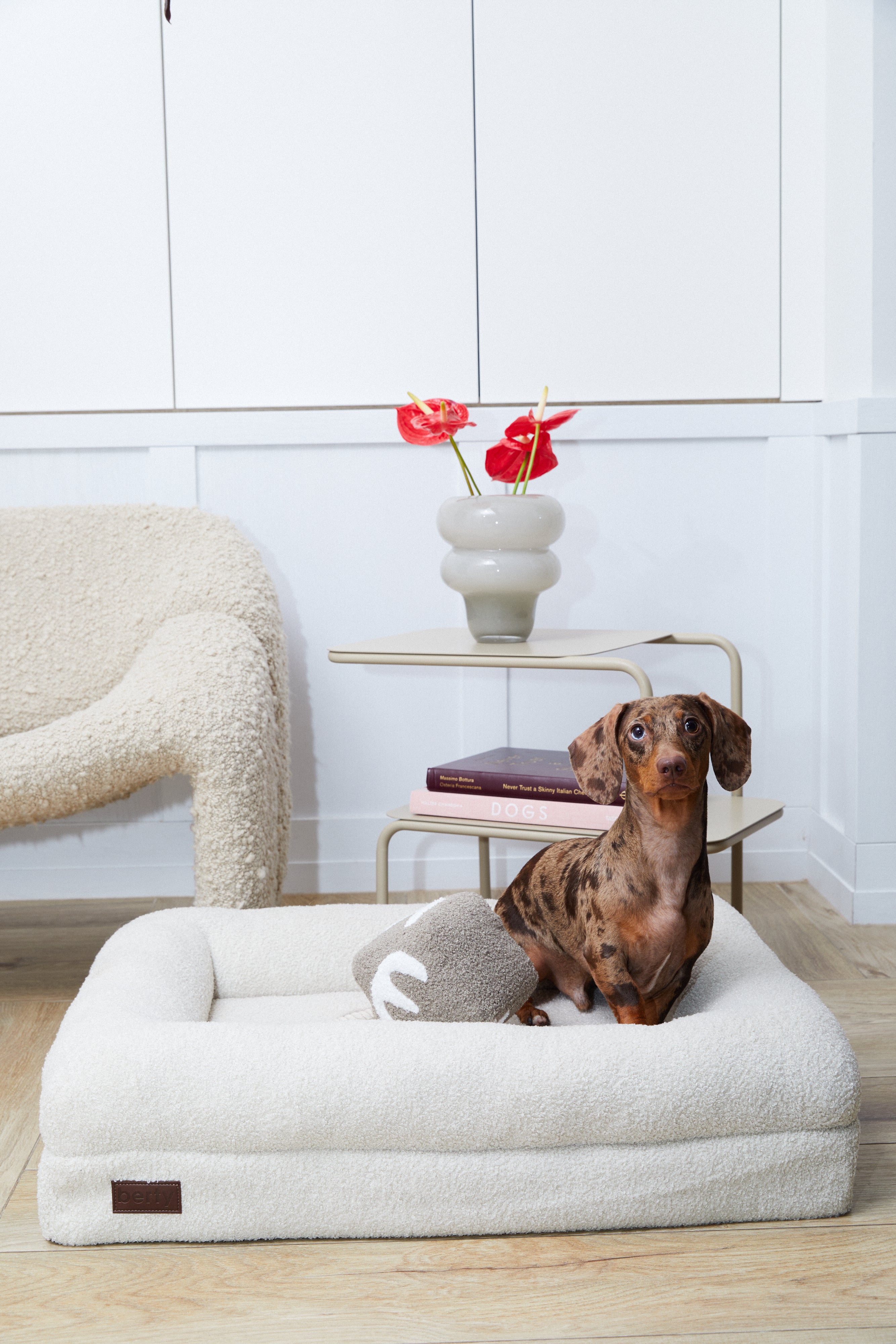 The cozy bed for dogs - the fluffy heaven for furry friends. 