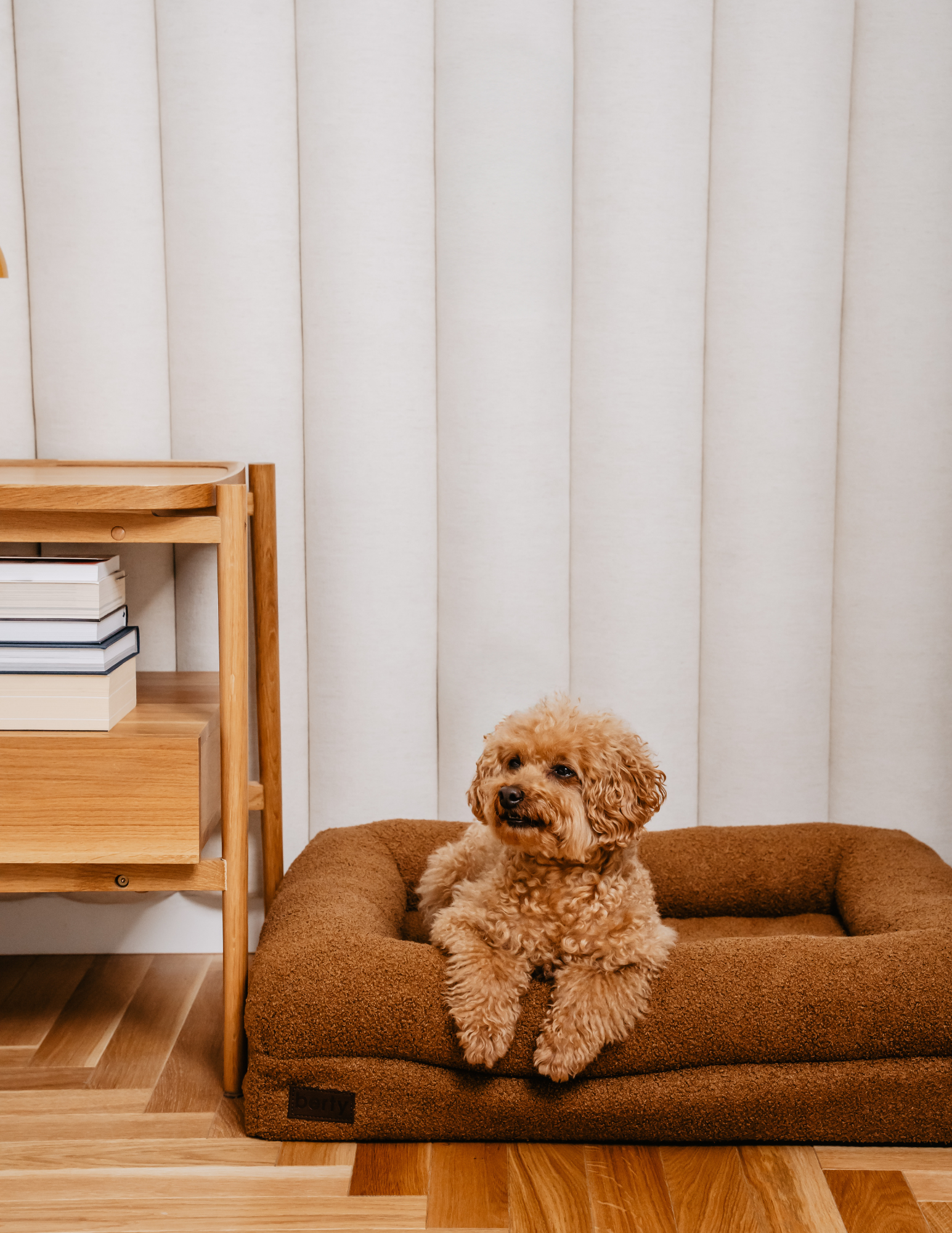 the cozy bed teddy