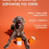 be light wsparcie prawidłowego trawienia