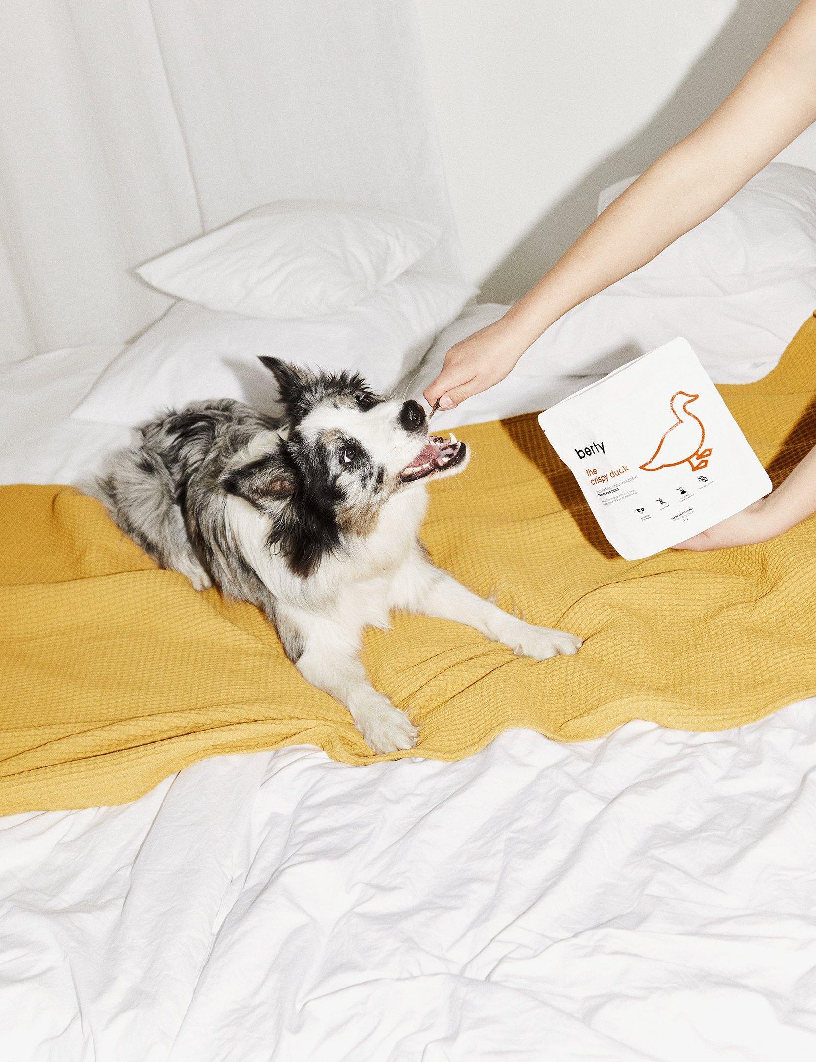 the crispy duck - treats for dogs - berty