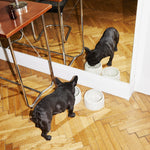 the dining set - bowls & tray set | oyster - berty