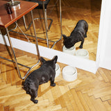 the dining set - bowls & tray set | oyster - berty
