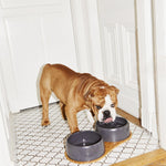 the dining set - bowls & tray set | dark stone - berty