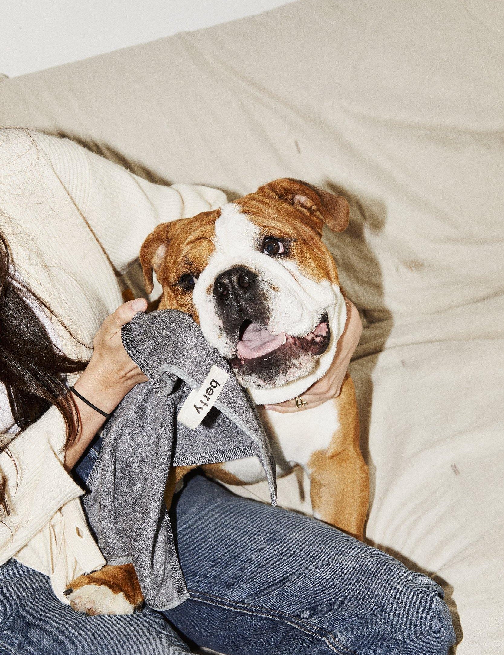 the antibacterial paw and face towel for dogs - berty
