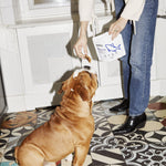 the tender tuna - treats for dogs - berty