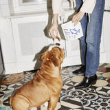 the tender tuna - treats for dogs - berty