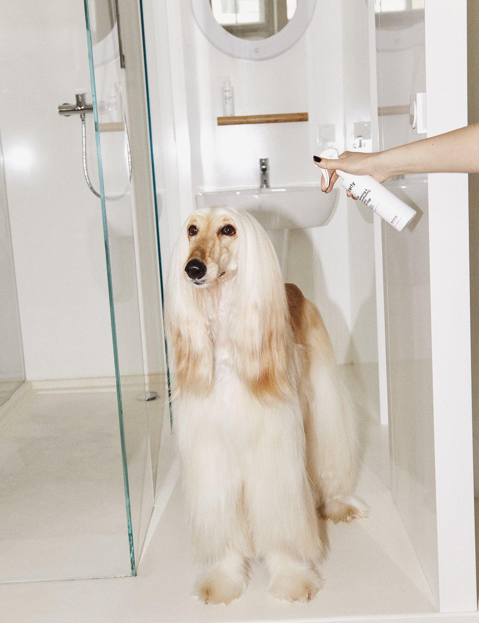 the refreshing & conditioning spray for dogs - berty