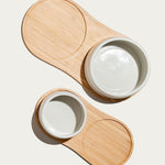 the ceramic bowl for dogs | oyster - berty